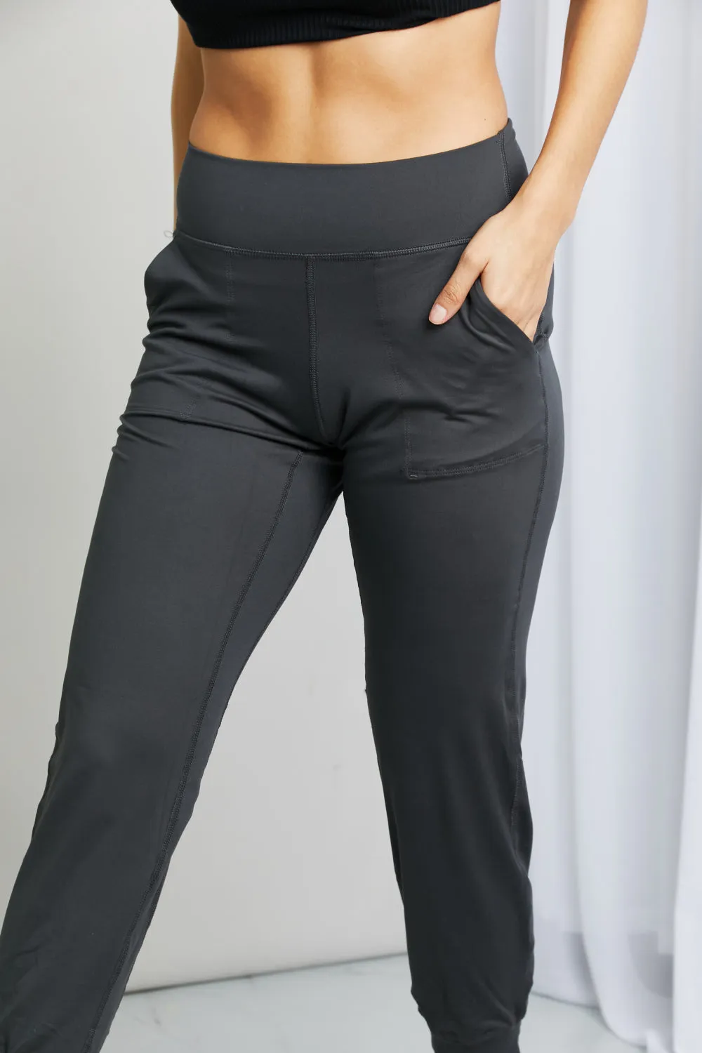 Blue Zone Planet |  Leggings Depot Full Size Wide Waistband Cropped Joggers
